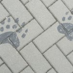 phoca_thumb_m_vp 2.den 78 Fotogalerie